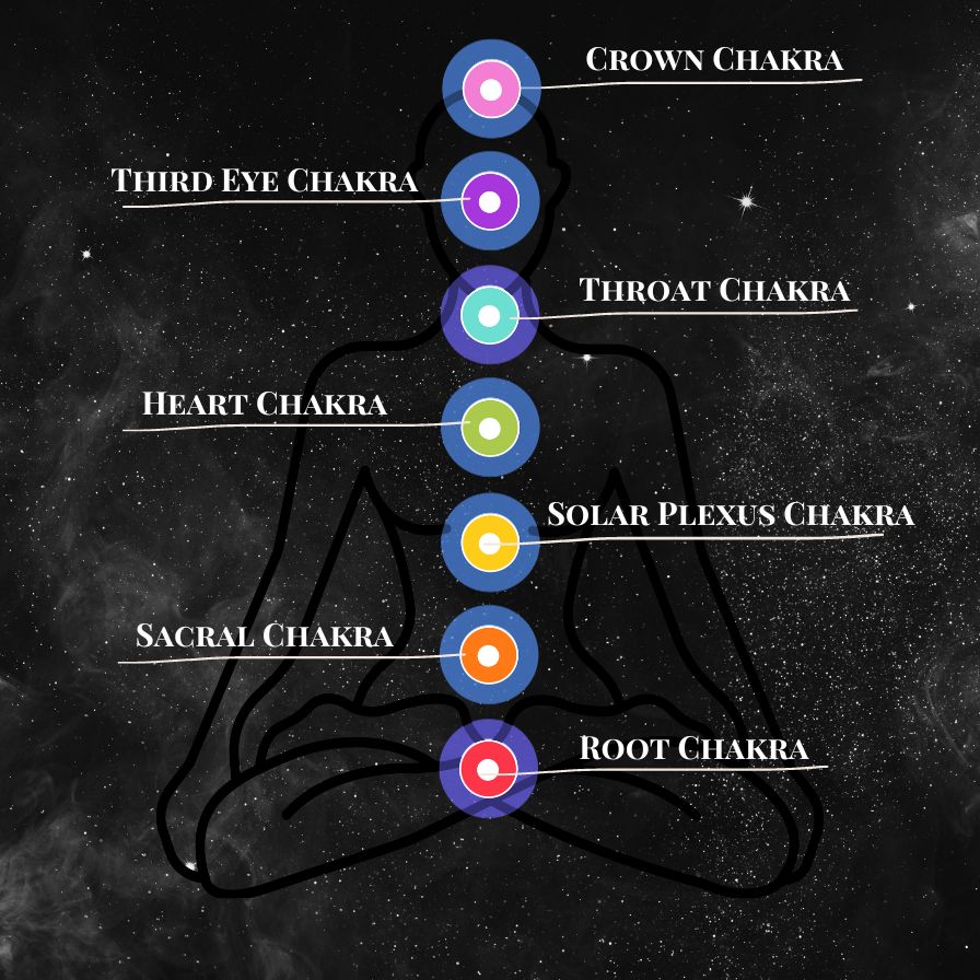 Picture of the 7 chakra points on a human body diagram showing, the crown chakra, third eye chakra, throat chakra, heart chakra, solar plexus chakra, sacral chakra and root chakra