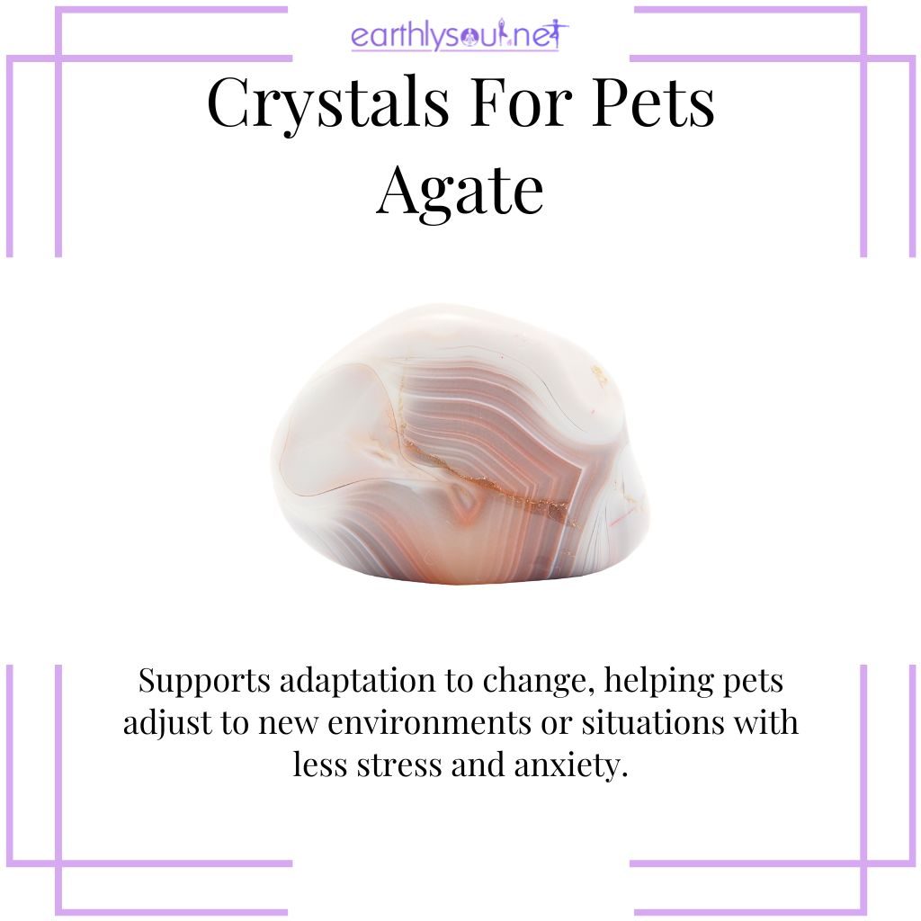 Agate for pet adaptability