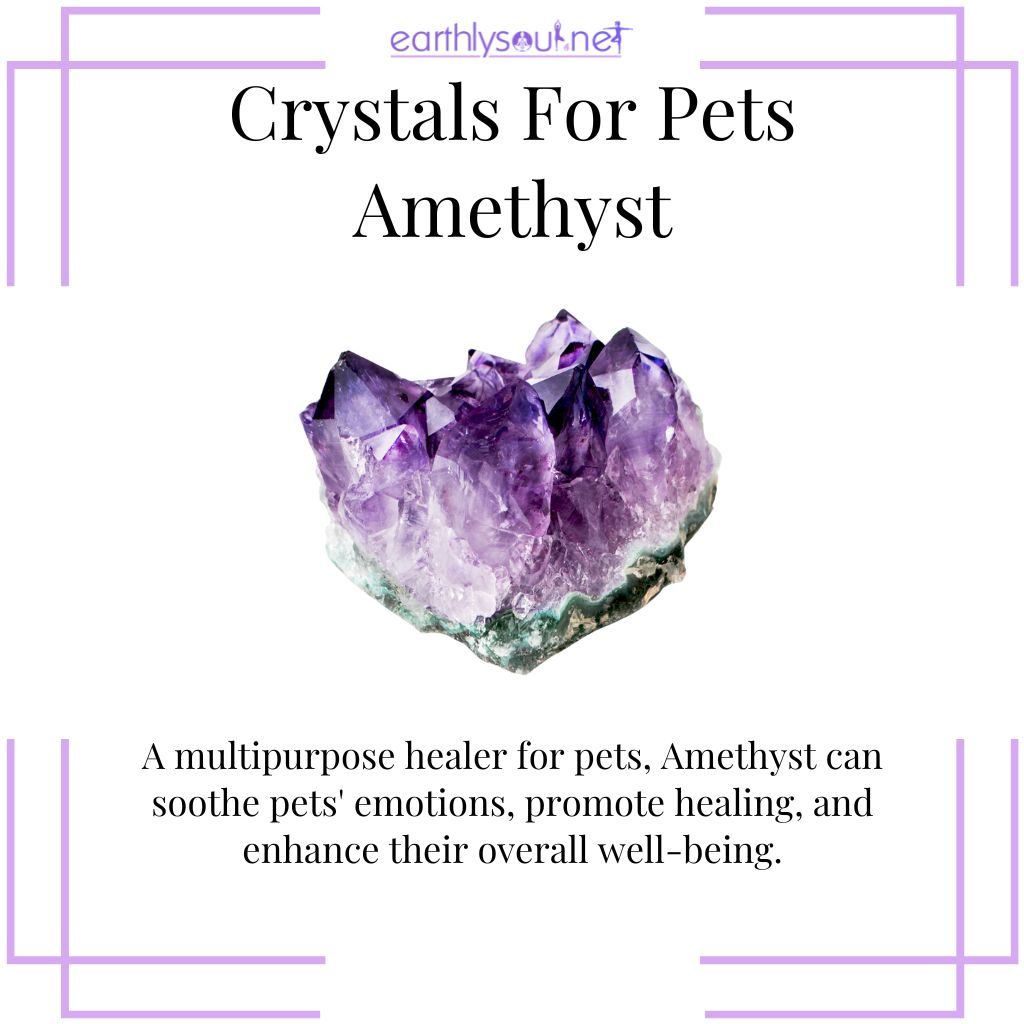 Amethyst for pet healing