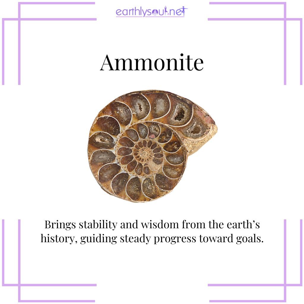 Ammonite for grounded progress in first quarter moon