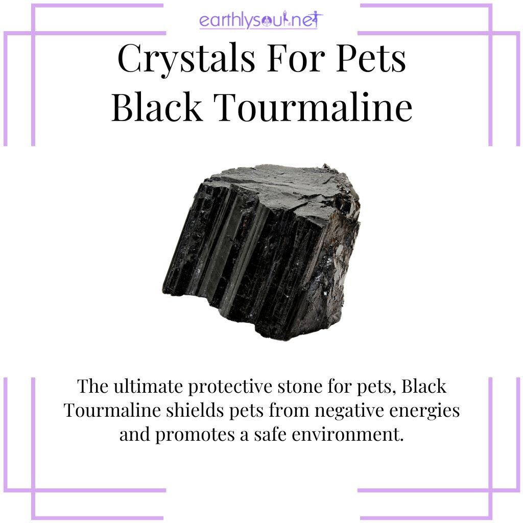 Black tourmaline for pet protection
