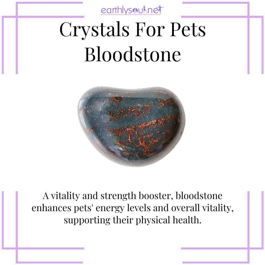 Bloodstone for pet vitality