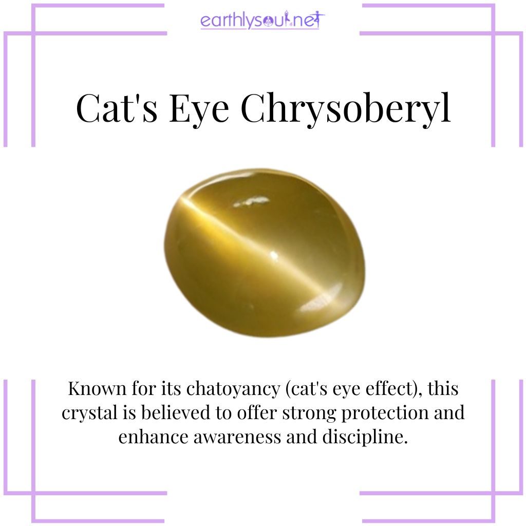Cat's eye for protection and awareness