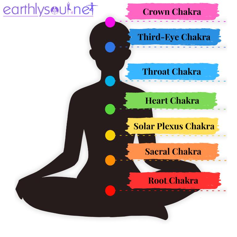 All the chakra points on the body