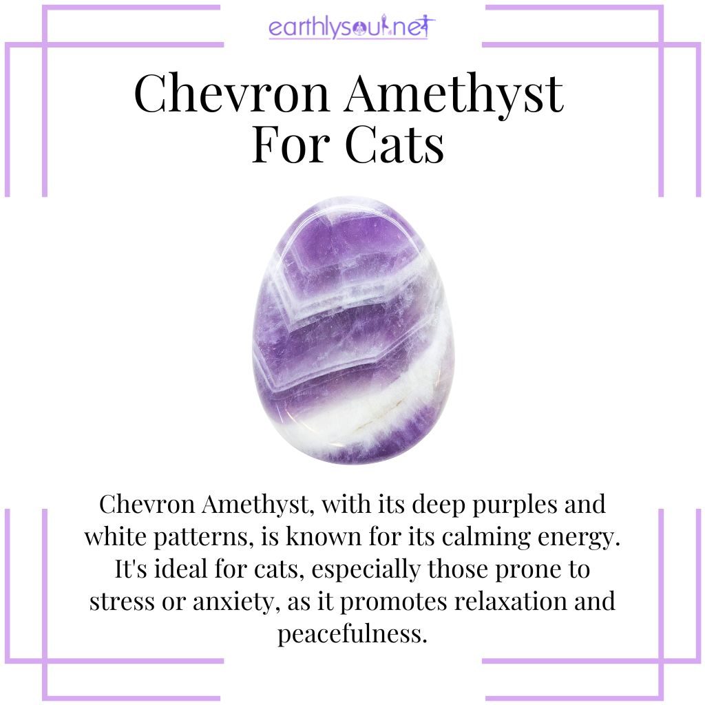 Chevron amethyst for cat calmness