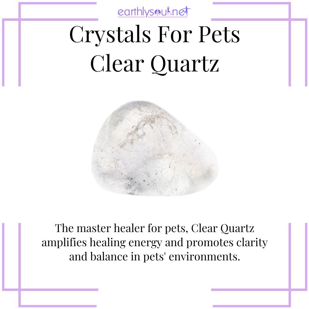 Clear quartz for pet wellness