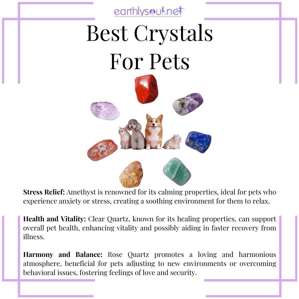Enhancing pet well-being with Amethyst for stress relief, Clear Quartz for health, and Rose Quartz for harmony