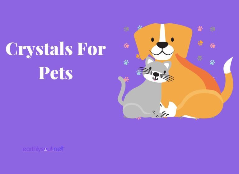 Crystals for pets: a comprehensive guide to enhancing your pet’s well-being with crystals