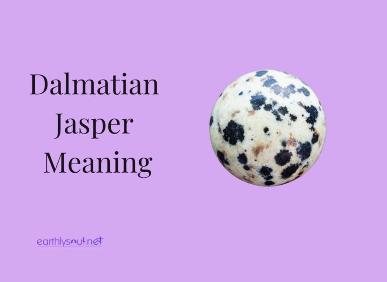 Dalmatian jasper meaning featured image