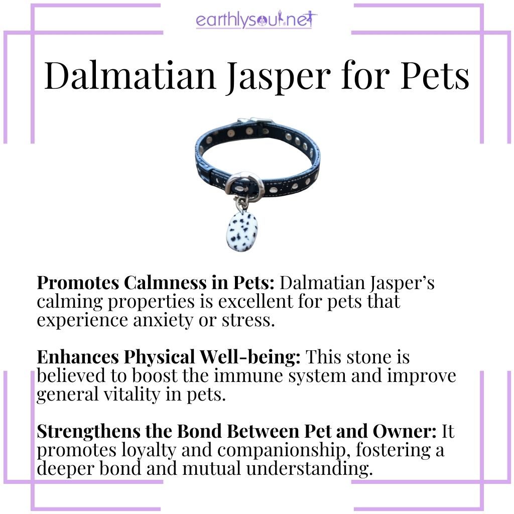 Dalmatian jasper calms pets, enhances their physical well-being, and strengthens the bond with their owners.