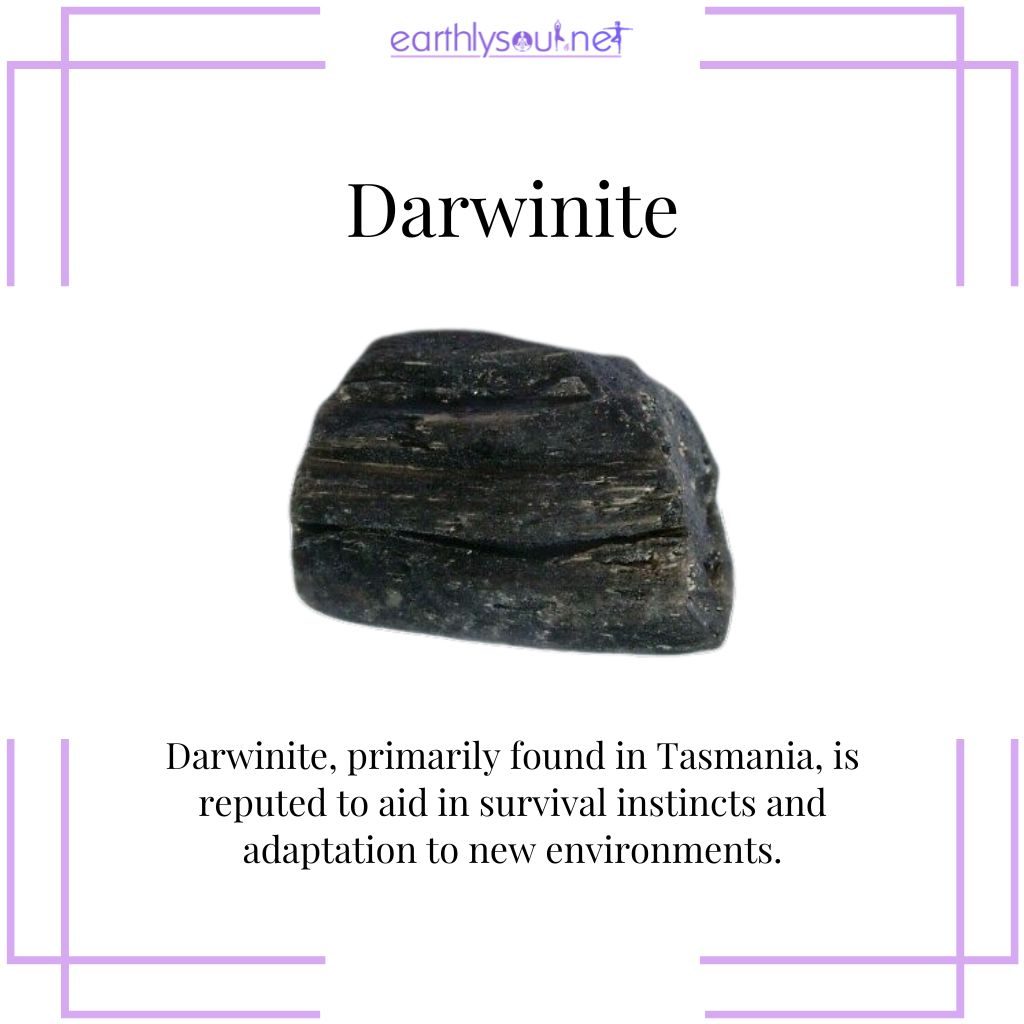 Darwinite for adaptability