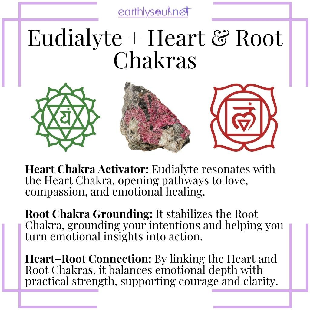 Eudialyte and the chakras, a heart-centered crystal that activates the heart chakra, grounds the root chakra, and harmonizes emotional and physical energy.