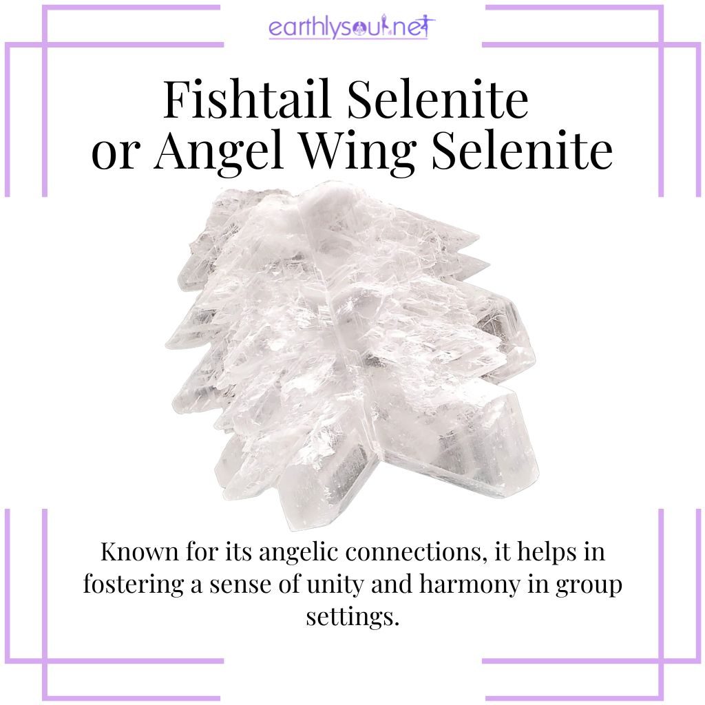 Fishtail selenite for harmony in groups
