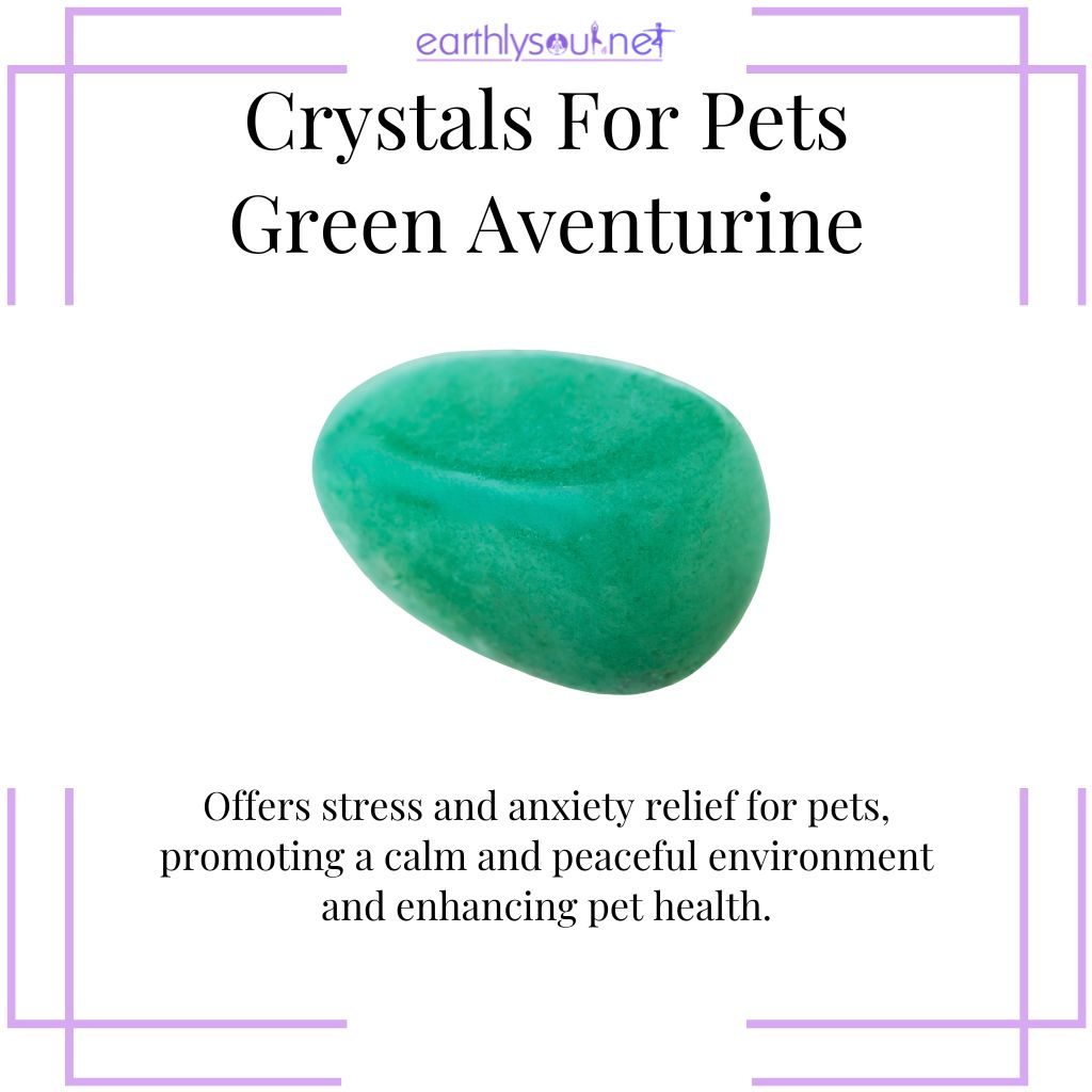 Green aventurine for pet calmness