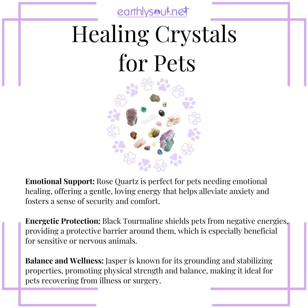 In-depth view of healing crystals for pets with rose quartz for emotional support, black tourmaline for protection, and jasper for balance