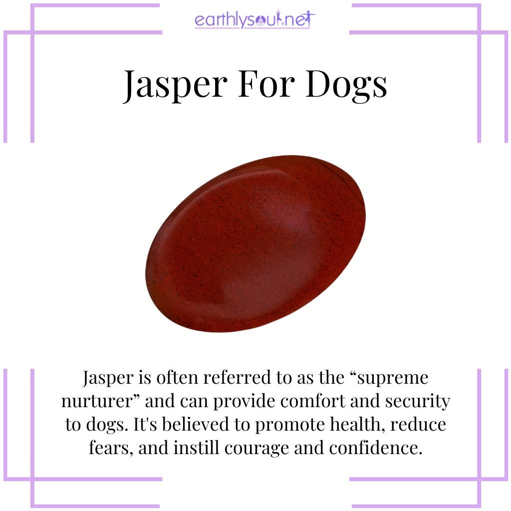 Jasper for nurturing dogs