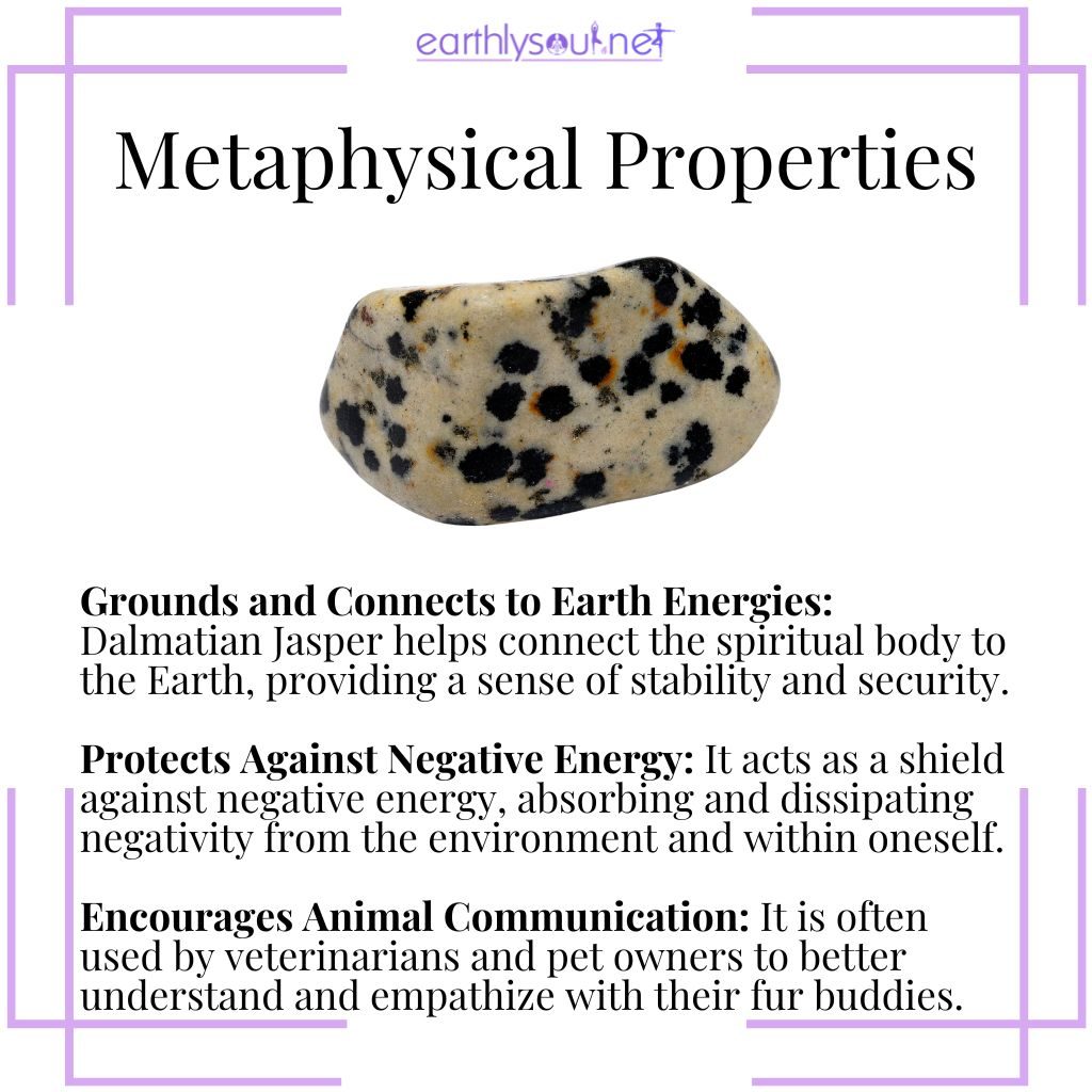 Dalmatian jasper grounds spiritual energies, protects against negativity, and encourages communication with animals.