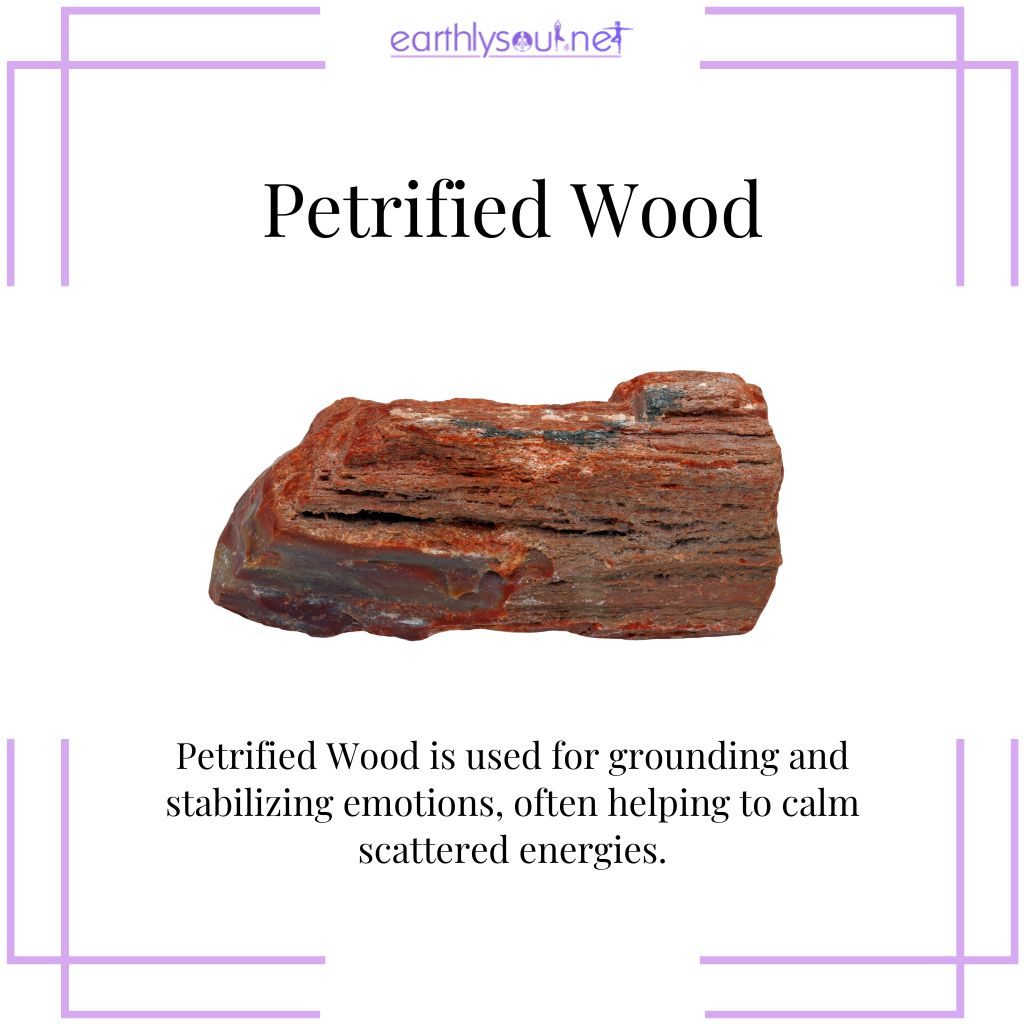 Petrified wood for grounding and stability