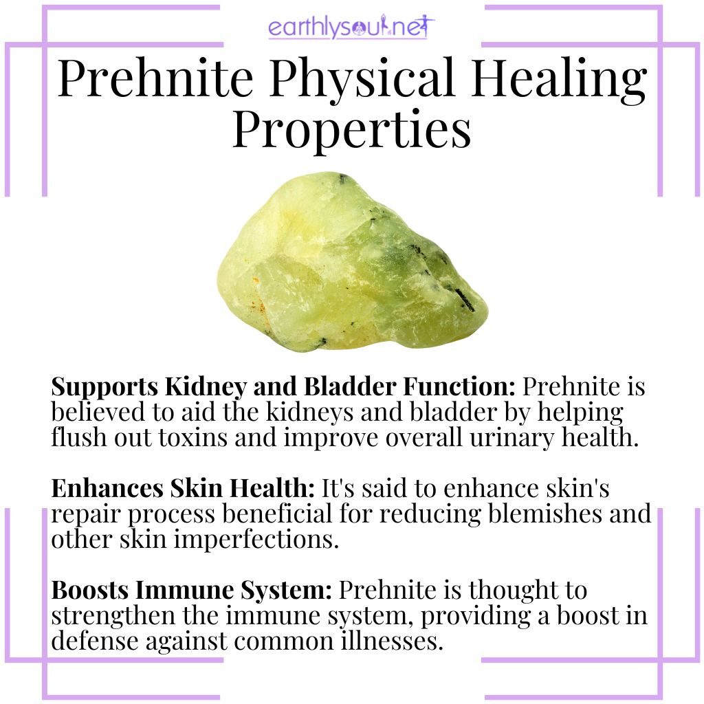 Prehnite aids kidney and bladder function, enhances skin health, and boosts the immune system.