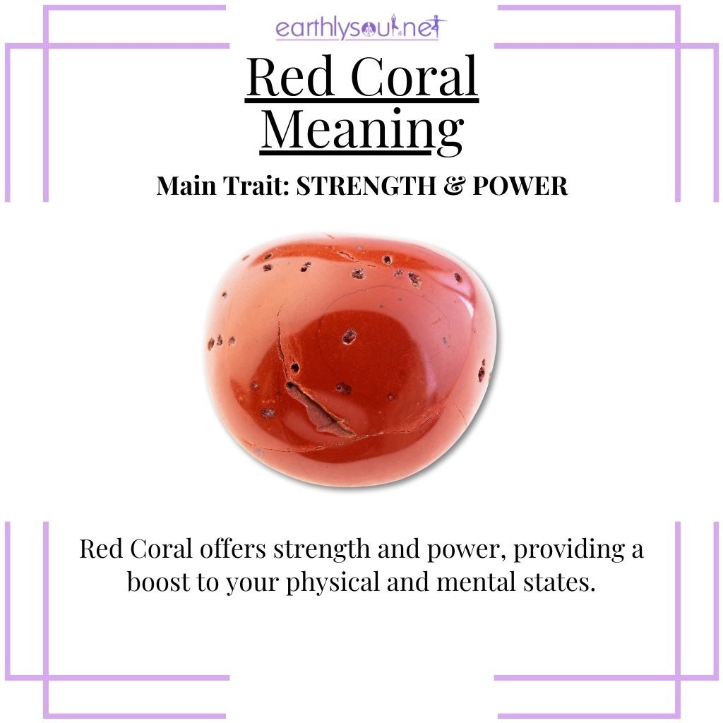 Powerful red coral for mental and physical strength