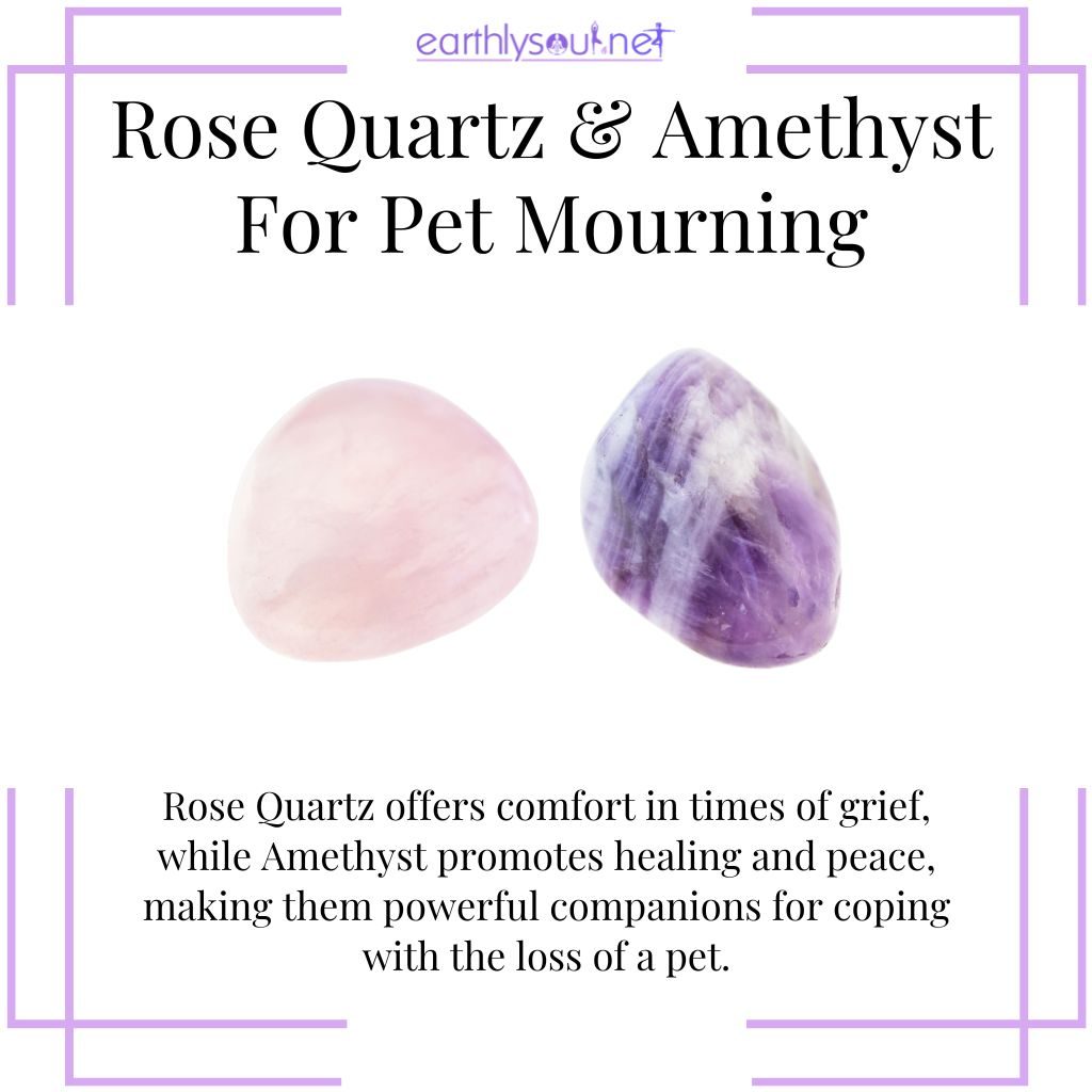 Rose quartz & amethyst for pet loss healing
