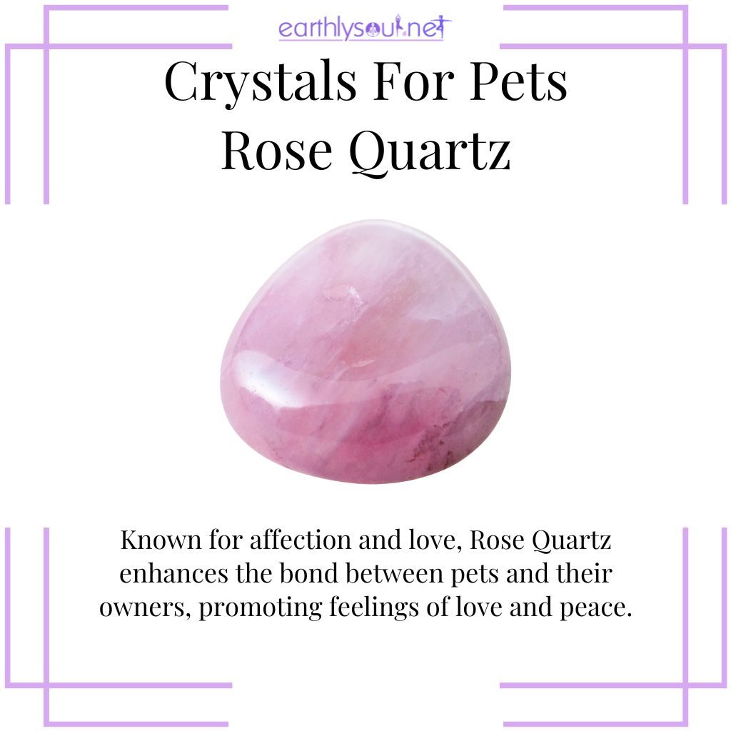 Rose quartz for pet affection
