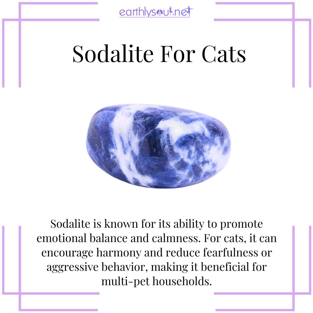 Sodalite for cat harmony