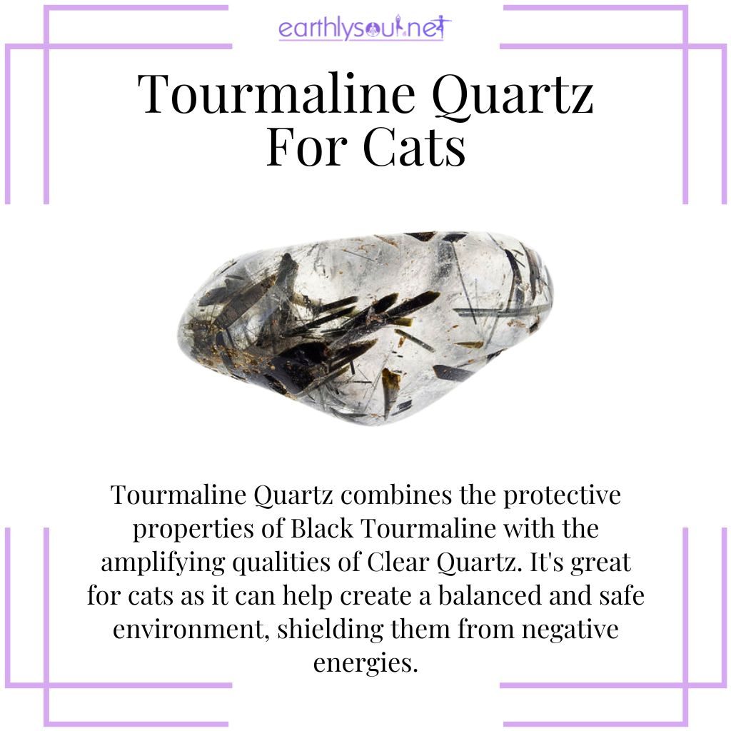 Tourmaline Quartz for cat protection