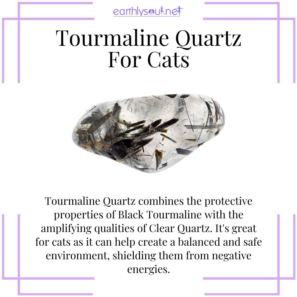 Tourmaline quartz for cat protection