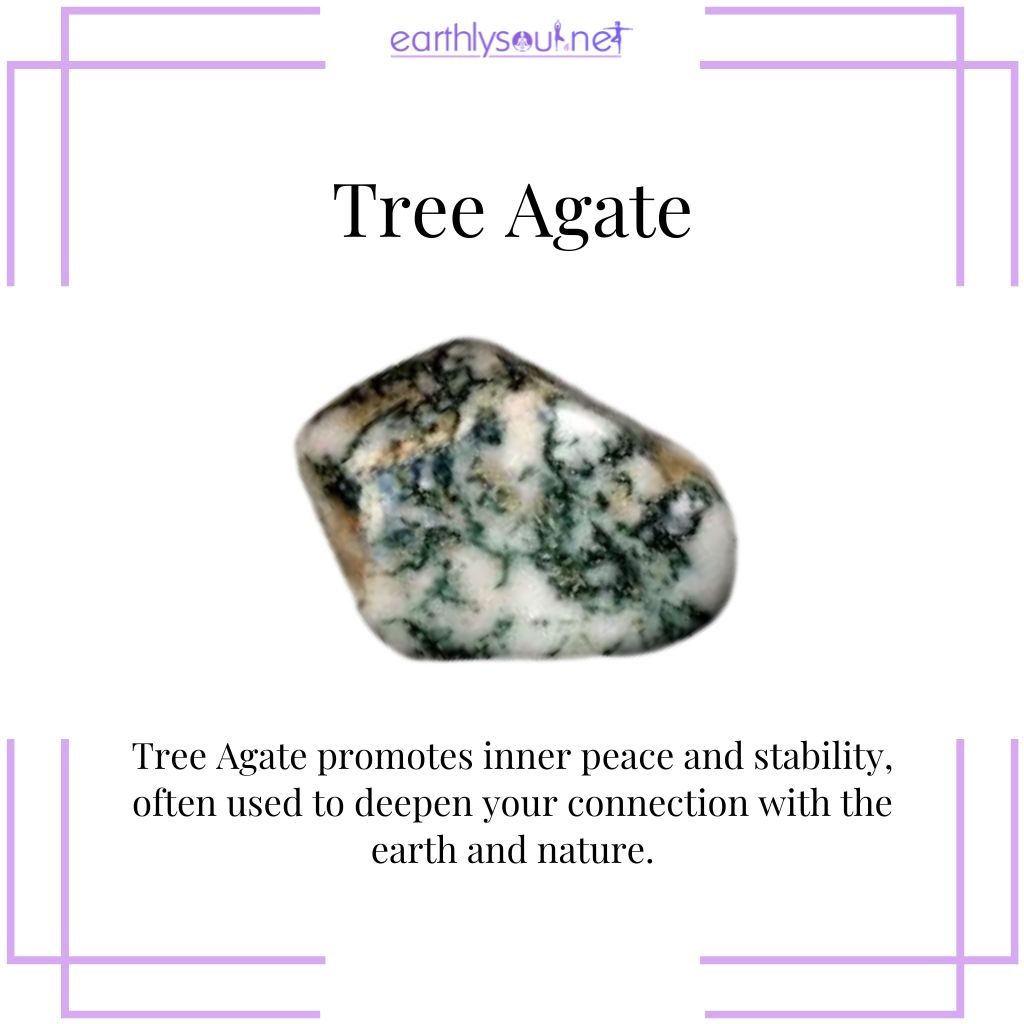 Tree agate for connection to nature