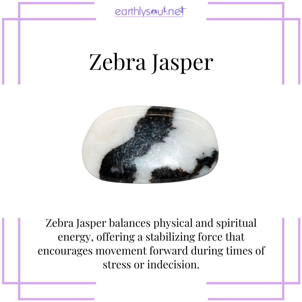 Zebra jasper for balance and forward motion